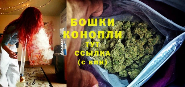PSILOCYBIN Армянск