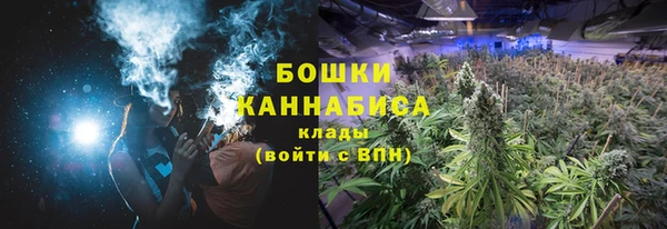 соль ск Арсеньев