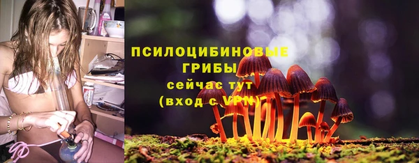 MDMA Premium VHQ Аркадак